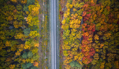 The railway through the autumn colorful bright forest. Top view
