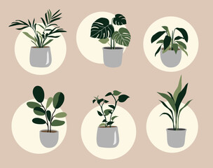 Set of house plants in the pots. Trendy home decor with plants. Hygge. Vector.