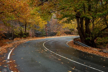 Zelfklevend Fotobehang Forest landscape, yellow trees and empty curved road in autumn © Michalis Palis