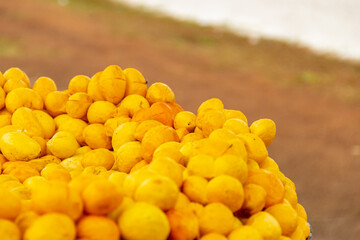 Montes de pequi em exposição na barraca da feira, para venda.