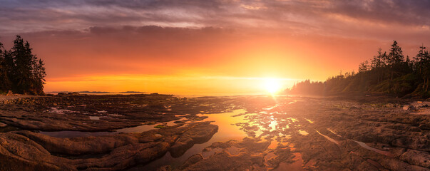 Panoramic View of Botanical Beach on the West Coast of Pacific Ocean. Dramatic Sunset Art Render....
