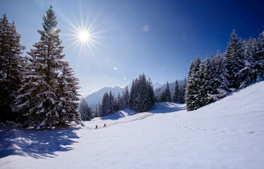 Fototapeta na wymiar Traditioneller Skilanglauf Sport in winterlicher Schneelandschaft mit alpinem Bergpanorama in den Bayerischen Alpen an einem sonnigen Tag 