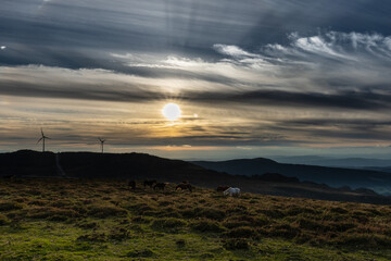 Day and Night with a crescent moon at the end of summer in the mountains of Asturias, with horses and a sunset of color!