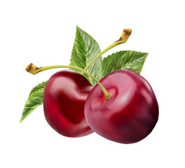 Realistic cherry with fresh leaves, red juicy on a white background for design.