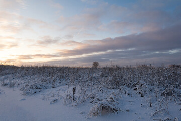 winter countryside landscape at sunset. snowy field. nature in winter season