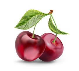 Realistic cherry with fresh leaves, red juicy on a white background for design.