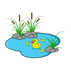 Duck and ducklings swimming in pond. Cartoon vector illustration. Duck mother and family.