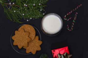 Gingerbread and milk for Santa. Christmas composition with gingerbread cookies and milk on a black background with a fir branch and a gift.