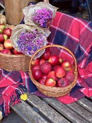 Red apples fruits harvest. Ripe tasty glossy apples. Autumn apple harvest against rural bench covered cozy red blue checkered plaid. Beautiful purple sea lavender kermek flowers bouquets.