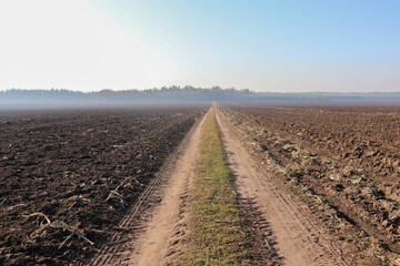 Fototapeta na wymiar plowed field after harvest