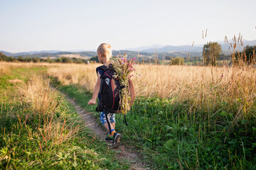 Fototapeta na wymiar Little hiker with backpack comes from the mountain and carries a bouquet of wildflowers that he collected for his mother, path among wheat, gorgeous landscape, beauty of nature, view from behind