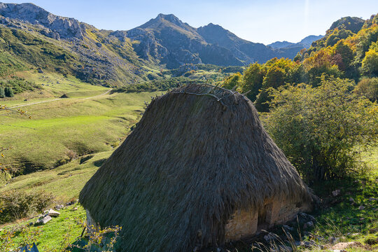 Traditional cabin with a broom roof , teito, in the town of Valle de Lago in Somiedo, Asturias. 