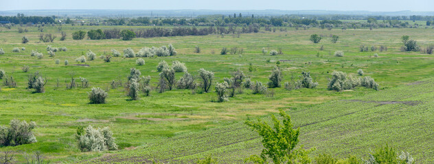 Fototapeta na wymiar Panoramic landscape of rural plain in spring sunlight, Dnepr, Ukraine.