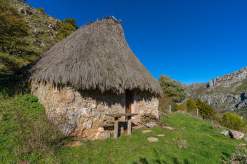 Plakat Traditional cabin with a broom roof , teito, in the town of Valle de Lago in Somiedo, Asturias. 