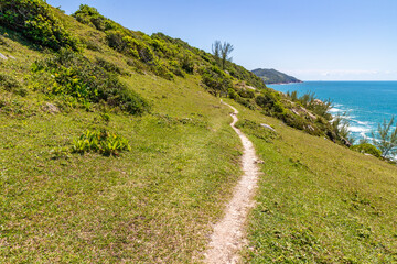Fototapeta na wymiar Trail with cliffs vegetation, waves and rocks
