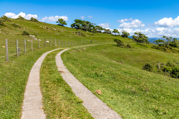 Farm road and field  with vegetation