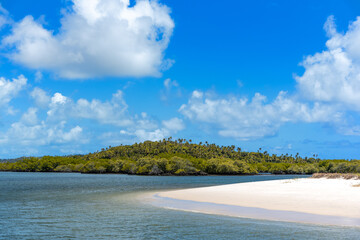 Vegetation by the coast