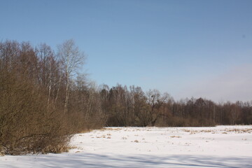 Winter meadow in the kampinowski national park