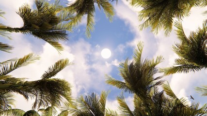 Fototapeta na wymiar Palm Trees on Blue Sky Background. 