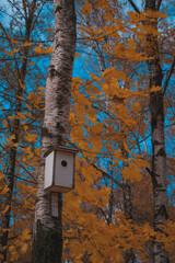 autumn house
