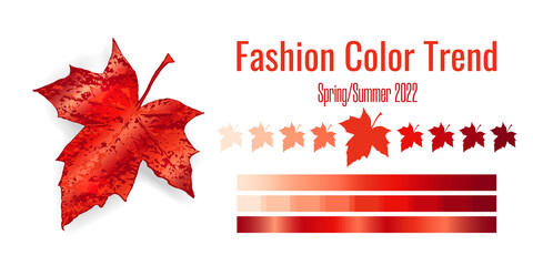 Fashion color trend Spring-Summer 2021-2022. Colour palette with different shades of fire Red color and gradient. Maple tree leaf on white background. Paint palette mock up. Vector illustration