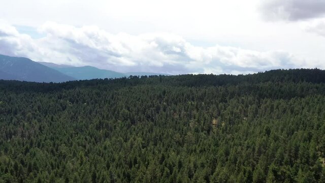 survol d'un lac de montagne et des forets dans les Pyr&eacute;n&eacute;es-Orientales, sud de la France, parc naturel des Bouillouses