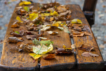 A bench in the autumn park covered with fallen leaves, close up.