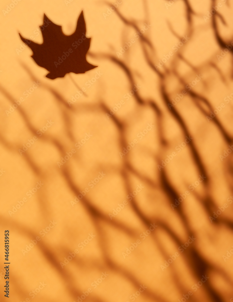 Canvas Prints autumn background - blurred shadow from tree branches and a falling maple leaf on a tanned backgroun