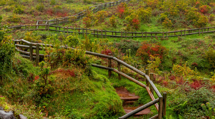 Outono nos Açores. Ilha Terceira.