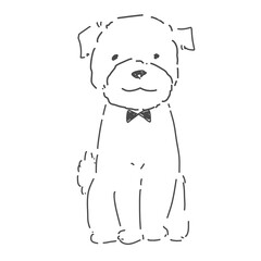 トイプードル おすわり