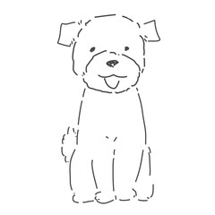 Fototapeta premium トイプードル おすわり