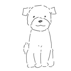 トイプードル おすわり