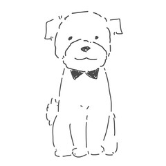 トイプードル おすわり