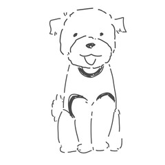 トイプードル おすわり