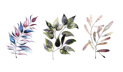 Set of different branches and leaves in vivid colors. Watercolor technique.