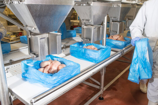 modern poultry processing plant.Meat processing in food industry.Packing of meat slices in boxes on a conveyor belt.Line for the production of semi-finished meat products.
