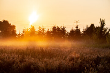Fototapeta na wymiar Mglisty wschód słońca nad drzewami, Słońce wschodzące nad łąką