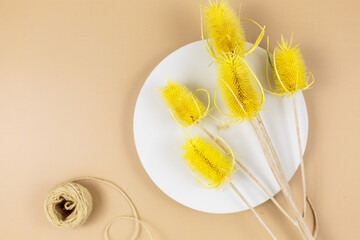 Dry bunch of wheat ears on beige background, top view. Bouquet of dried flowers with sunlight shadows. Floral card. Mockup. Minimalism
