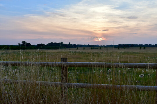 Fenced Field At The Sunset, Autumn, Coombe Abbey, Coventry, England, UK