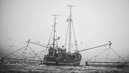 Krabbenkutter im Nebel