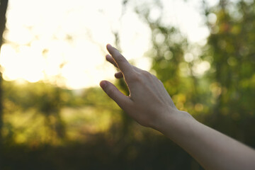 Female hand nature lifestyle summer travel vacation