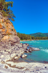 Fototapeta premium katun river with turquoise water and stones