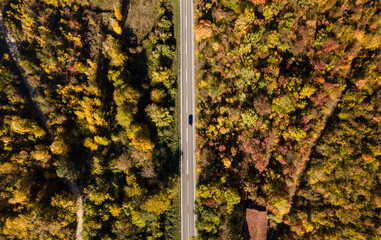 Top down aerial view drone image on the road trough the trees and forest in mountain range in autumn day - Tresibaba Knjazevac Mountain in Serbia - Travel journey and vacation concept car driving