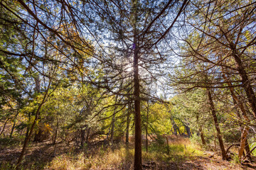 Sunny view of the landscape inside the Boiling Springs State Park