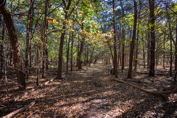 Obraz premium Sunny view of the landscape inside the Boiling Springs State Park