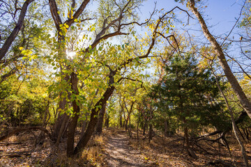 Sunny view of the landscape inside the Boiling Springs State Park