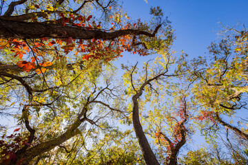 Sunny view of the landscape inside the Boiling Springs State Park