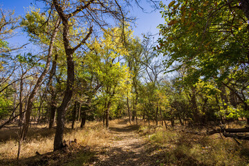 Sunny view of the landscape inside the Boiling Springs State Park