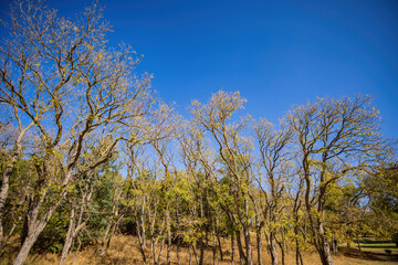 Sunny view of the landscape inside the Boiling Springs State Park