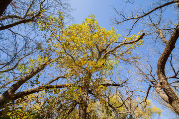 Sunny view of the landscape inside the Boiling Springs State Park